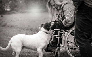 Best Wheelchair Cushion for Pressure Sores