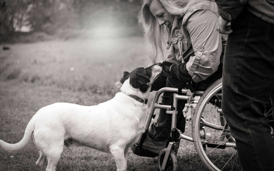 Best Wheelchair Cushion for Pressure Sores