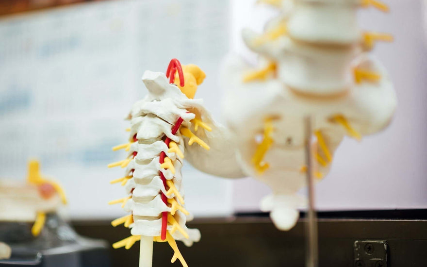 7 Effective Ways to Get Nerve Pain Sciatica Relief