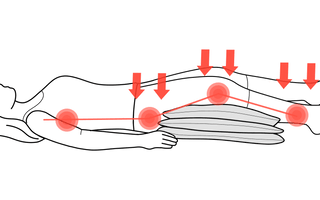 comparison chart of leg elevation wedge prices and foam options for 2025 buyers