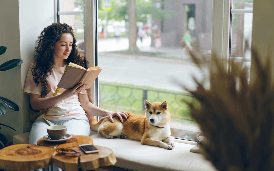 relaxation guide setup showing person resting on bed with elevated legs and calm lighting