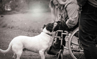 wheelchair cushion with structured gel surface for balanced posture and everyday use