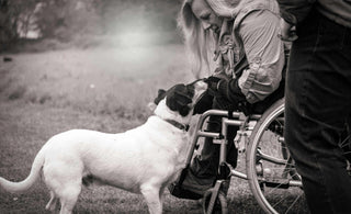 wheelchair cushion with structured gel surface for balanced posture and everyday use