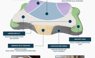 infographic showing structure and benefits of ergonomic memory foam pillow for daily comfort